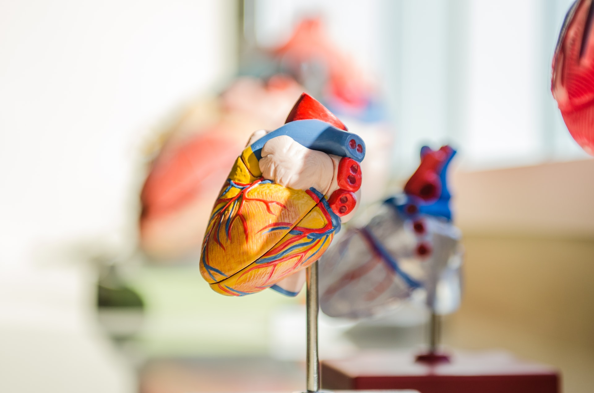 cardiovascular data