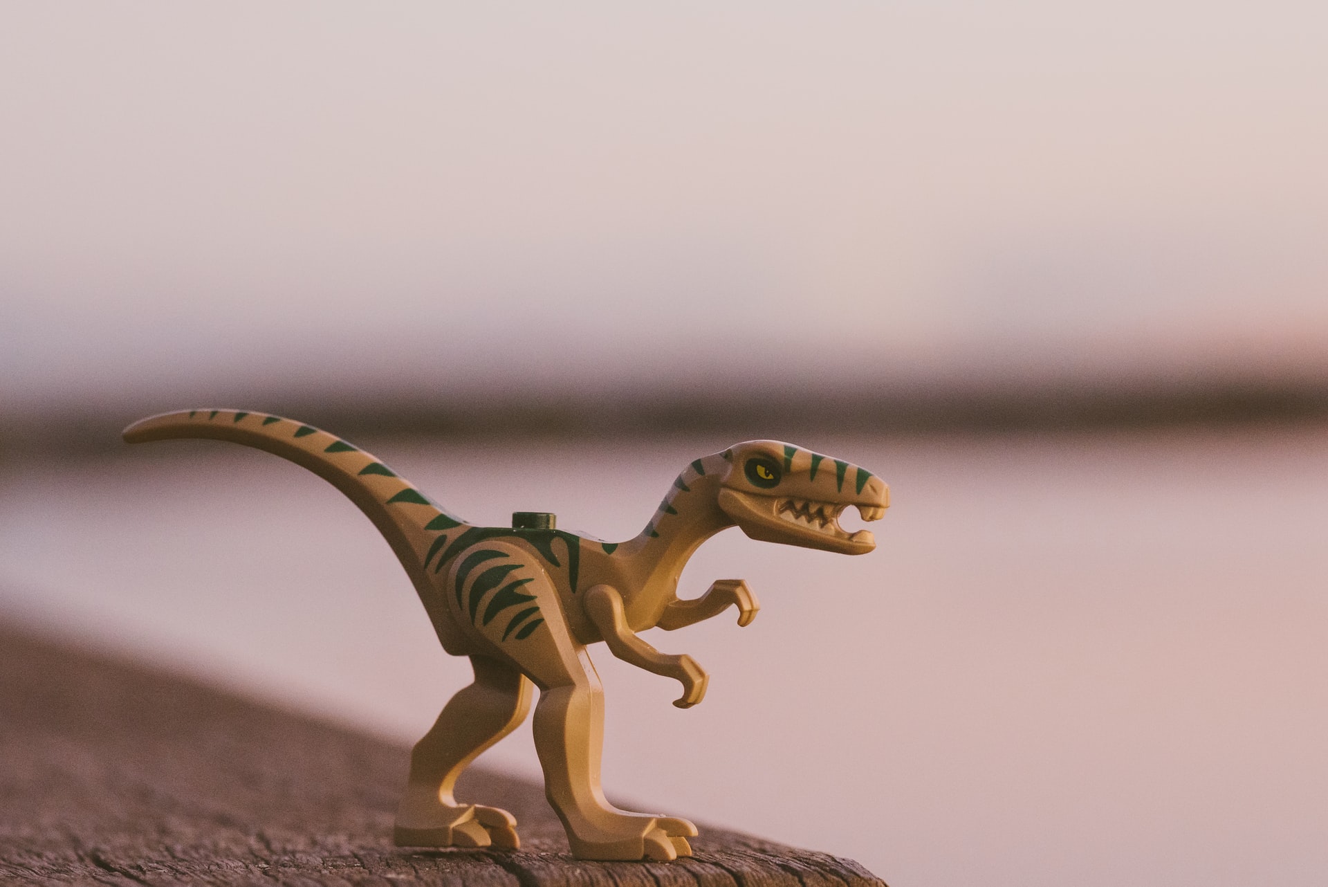 dino jump