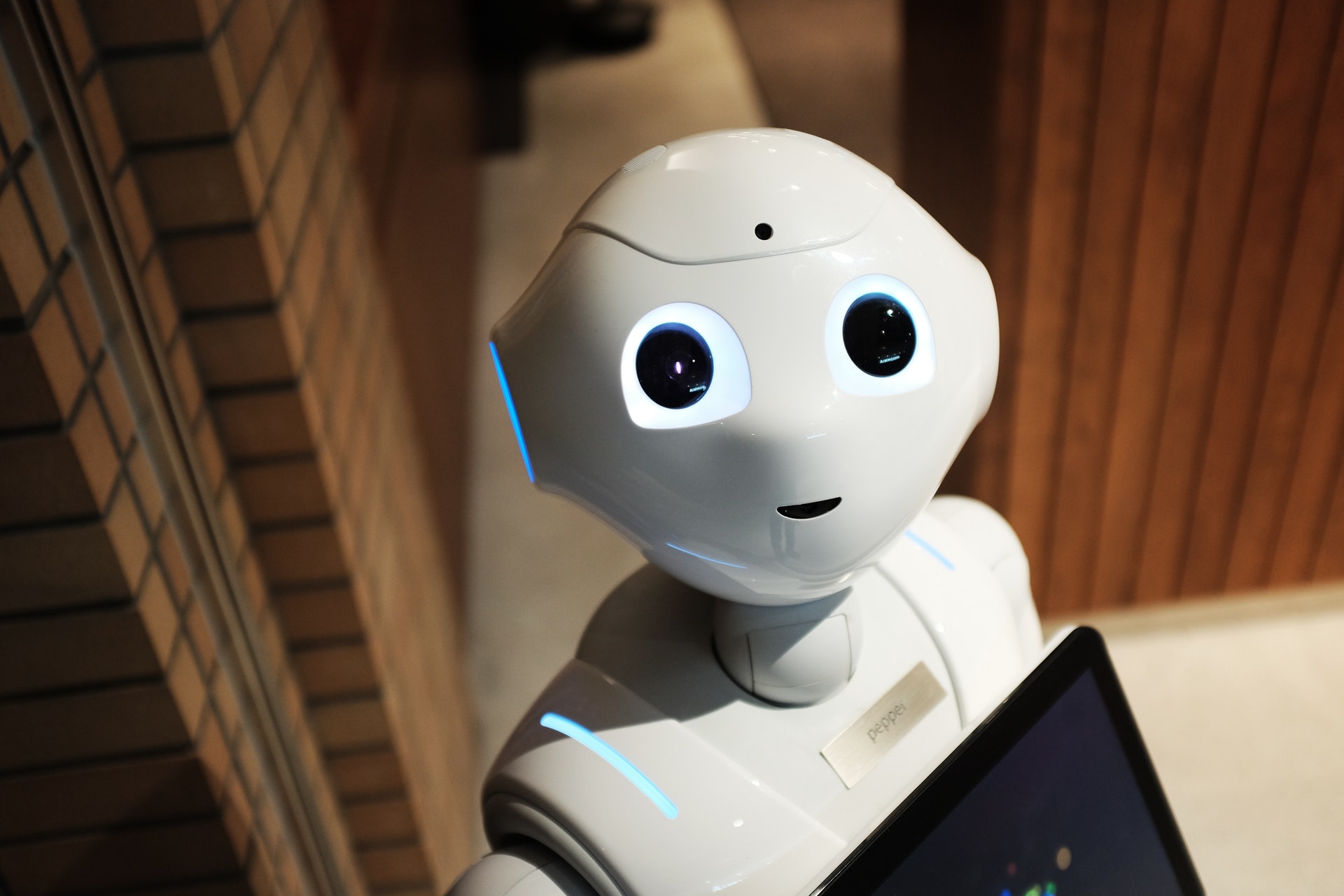 maya virtual assistant